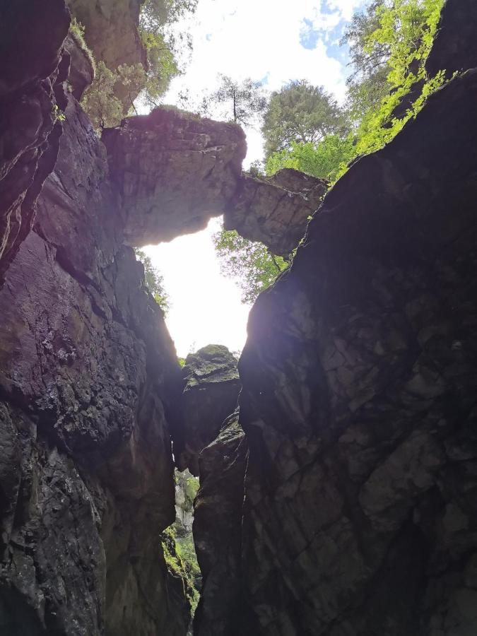 Wangen im Allgäu Ferienwohnung Nest מראה חיצוני תמונה